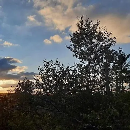 Apartament In Goggersreut Mit Terrasse *